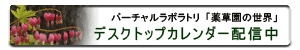 �f�X�N�g�b�v�J�����_�[�z�M��
