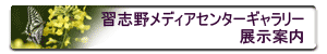 �K�u�상�f�B�A�Z���^�[�M�������[�W���ē�