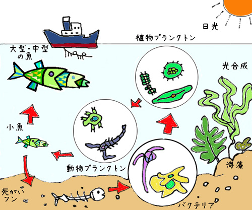 月刊 マキシマム 東邦大学習志野メディアセンター