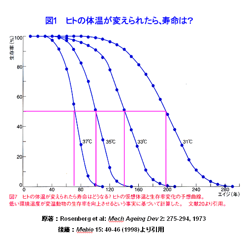 低い 体温 理由 が