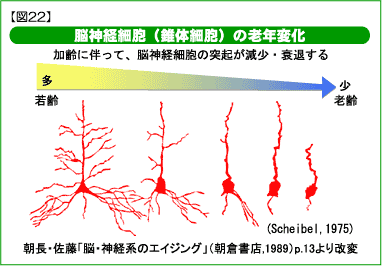 細胞 死ぬ 脳