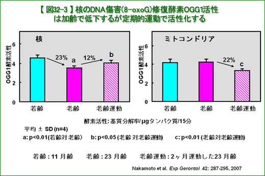 }32-3 jDNAQ(8-oxoG)CyfOGG1͉Œቺ邪I^Ŋ