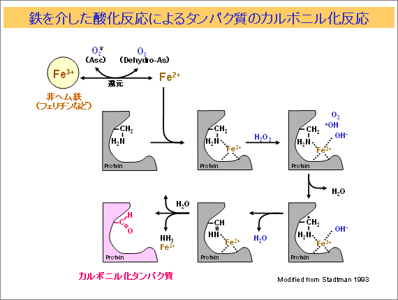 ペンタカルボニル鉄