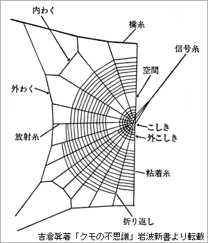 網の基本構造
