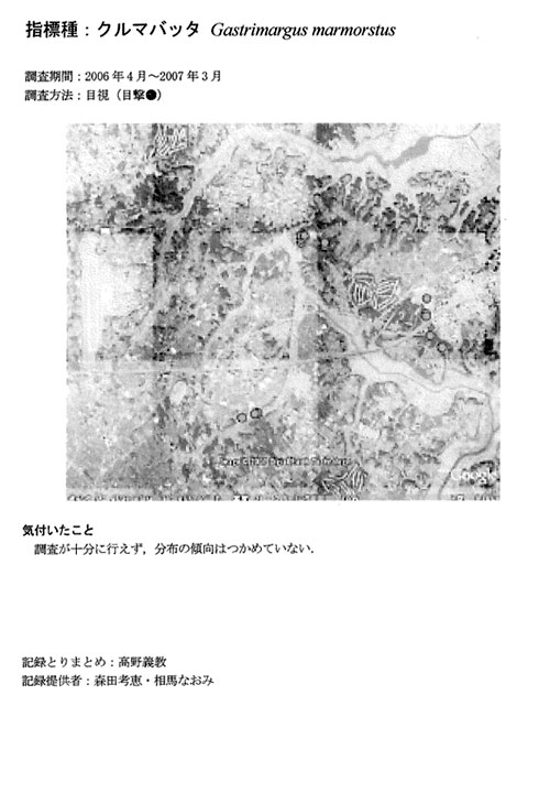 クルマバッタ