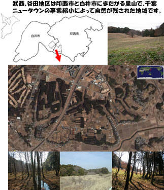 武西、谷田地区は印西市と白井市にまたがる里山で、千葉ニュータウンの事業縮小によって自然が残された地域です。