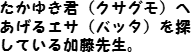 たかゆき君（クサグモ）へあげるエサ（バッタ）を探している加藤先生。