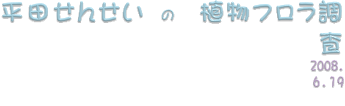 平田せんせい　の　植物フロラ調査　2008.6.19