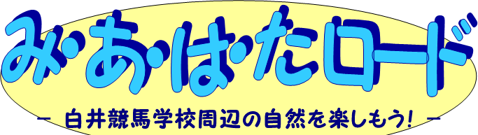 「み、あ、は、た」ロード