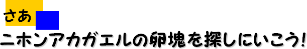 さあ　ニホンアカガエルの卵塊を探しにいこう！