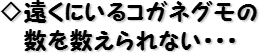 ◇遠くにいるコガネグモの数を数えられない・・・