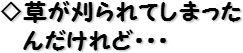 ◇草が刈られてしまったんだけれど・・・