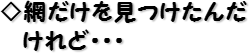 ◇網だけを見つけたんだけれど・・・