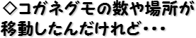 ◇コガネグモの数や場所が移動したんだけれど・・・