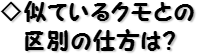 ◇似ているクモとの区別の仕方は？