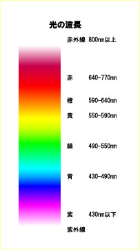 色 反応 炎 ストロンチウム