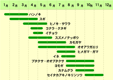 花粉症learning バーチャルラボラトリ