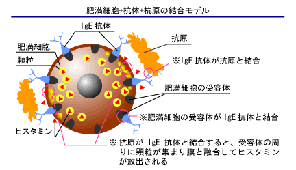 얞זEƍR̂ƍŘƃqX^~