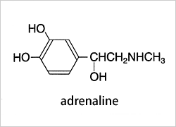 アドレナリン構造式