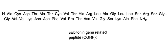 カルシトニン遺伝子関連ペプチド構造式