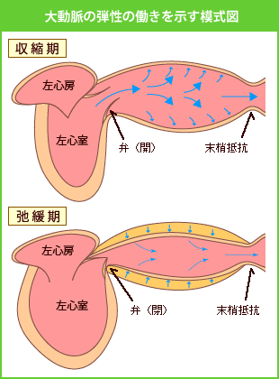 哮̒e͎̓}