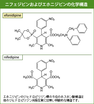 「ニフェジピンおよびエホニジピンの化学構造」　エホニジピンのジヒドロピリジン環の５位のホスホン酸構造は他のジヒドロピリジン系降圧薬には無い特徴的な構造です。