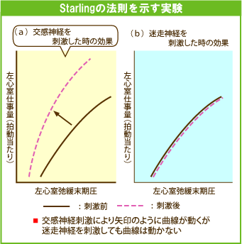 Starling̖@Ȑ