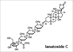 ラナトシドＣ構造式