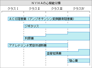 心筋 バーチャルラボラトリ