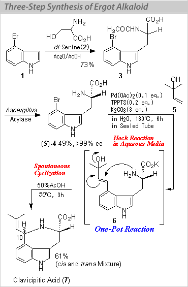 Three-Step Synthesis of Ergot Alkaloid