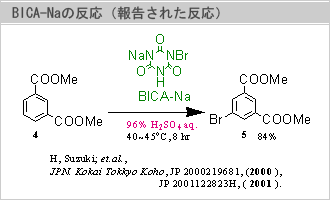 BICA-Na̔i񍐂ꂽj