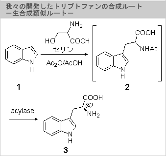 X̊Jgvgt@̍[g-ގ[g-